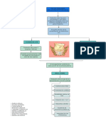 Pelvis Pasajero PDF