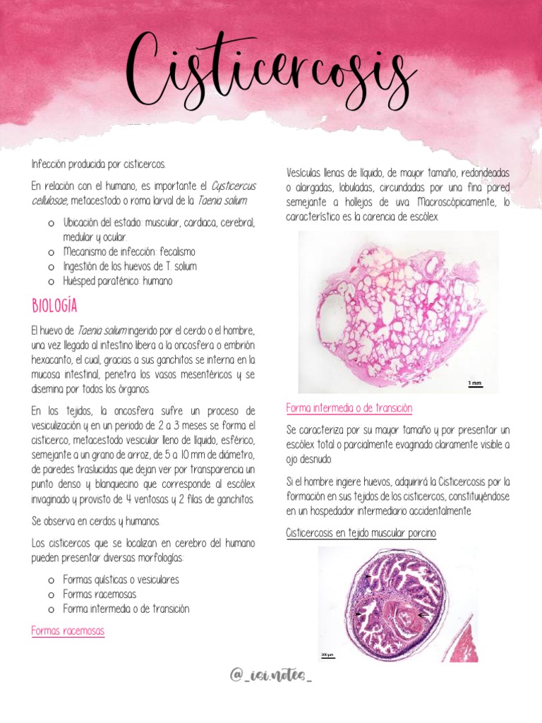 Cisticercosis PDF | PDF | Ciencias de la Salud | Enfermedades animales