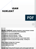 Asam Nukleat