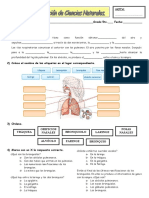 Evaluación de Cs Naturales 5to 2018 (Sist. Respiratorio)