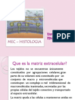 Mec PDF