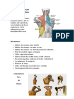 Anatomía y Masajes de La Columna