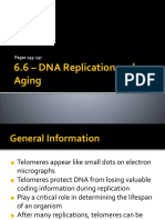DNA Replication, Aging and Telomeres