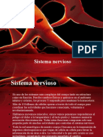 Sistema Nervioso PDF