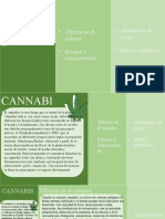 Cannabis Presentacion