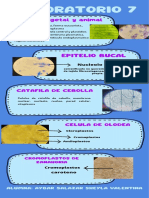 Laboratorio 7 PDF
