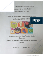 C.Troficas Inv. y Cartel (Amely Guadalupe) PDF