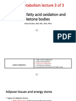 Biochem Lecture 14 Fats 3