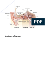 Anatomy of The Ear and Nose