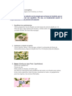 Limpieza Energética PDF