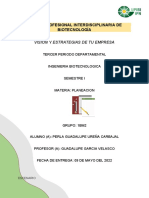 Visión y Estrategias de Tu Empresa