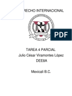 Trabajop Internacional PDF