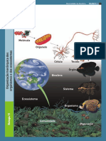 Diversidade na biosfera