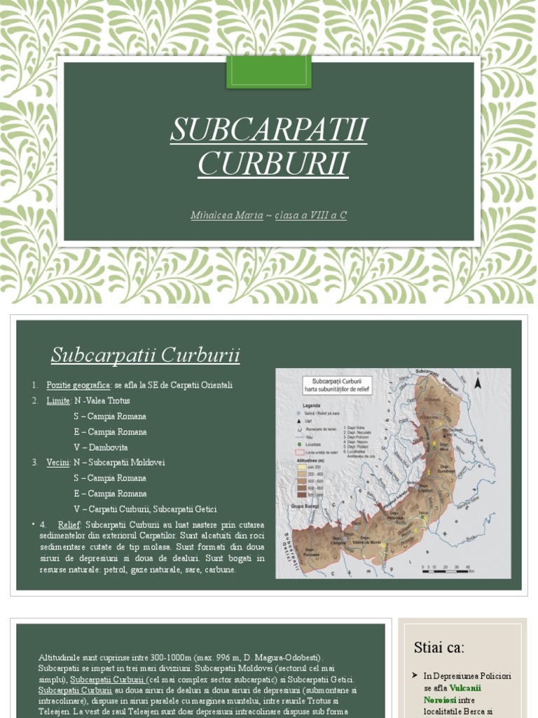 Subcarpatii Curburii | PDF