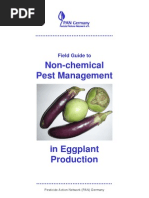 Field Guide Eggplant