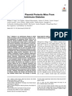 NOD Transfection Protocol PDF