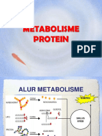 Metabolisme Protein PDF