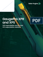 GaugePro XPR and XPS Bro