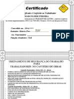 NR 35 Marcileide Pereira