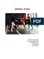 Animal Flow-1