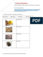 Fossils (2) Worksheet 2