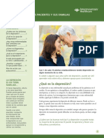 Depression Information For Patients and Families (Spanish)