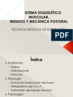 Tema 4. Sistema Esquelético-Muscular Fondo Claro PDF