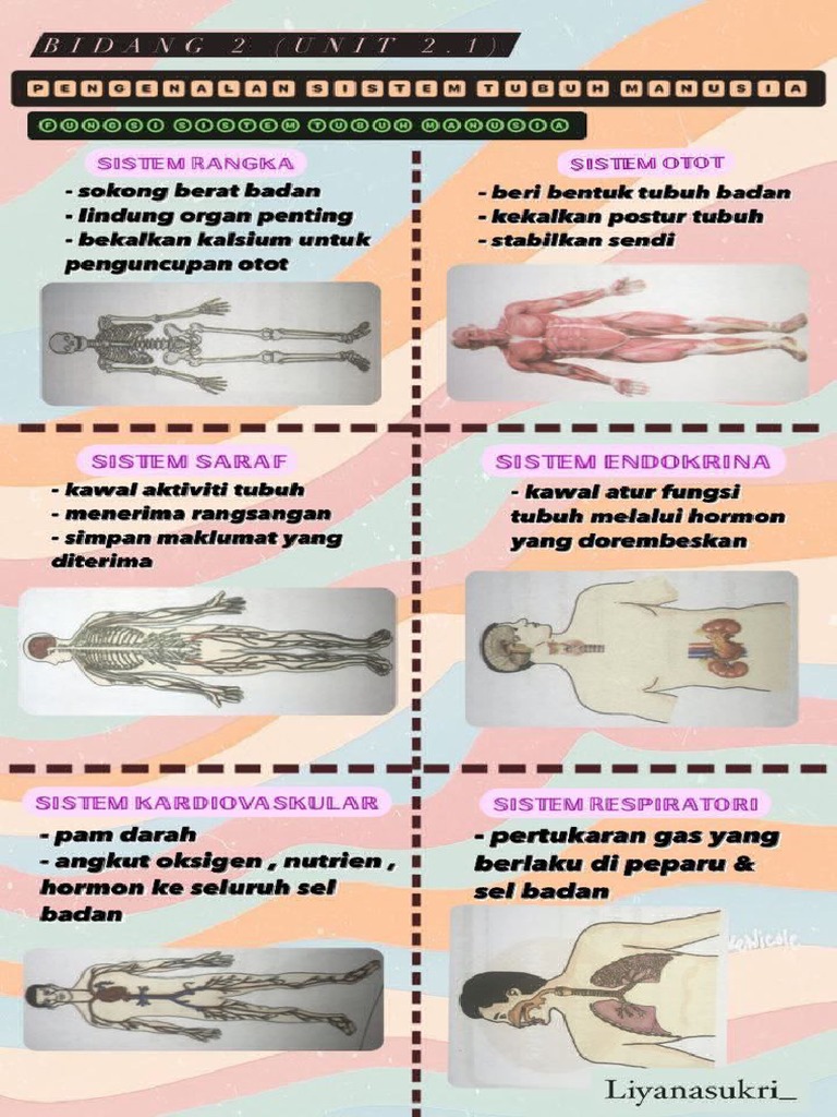 Sains Sukan Bidang 2 T4 | PDF