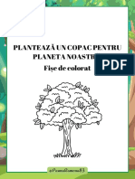 Planteaza Un Copac Pentru Planeta de Colorat