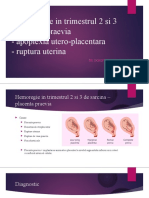 Hemoragiile in Trimestral 2 Si 3