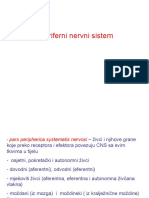 Periferni Nervni Sistem-Anatomija1555609844