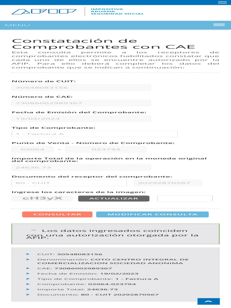 Constatación CAE Factura AFIP | PDF