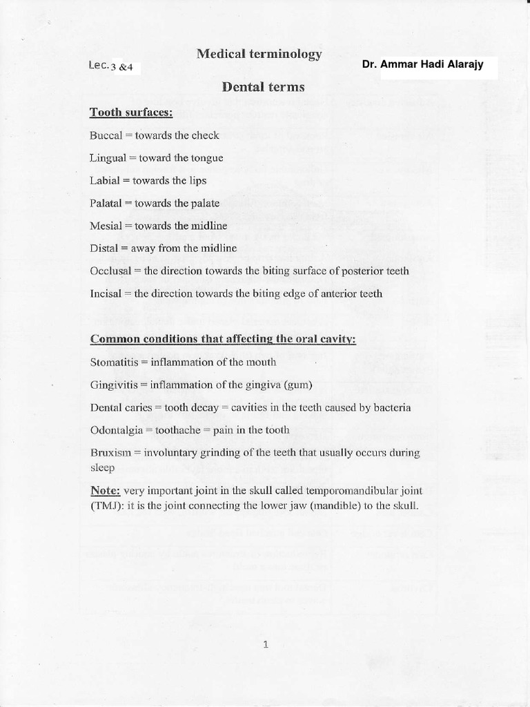 Basic Dental Terminology Overview | PDF | Tooth | Clinical Medicine