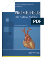 Prometheus Texto y Atlas de Anatomia - Cuello y Organos Internos - Tomo 2.pdf