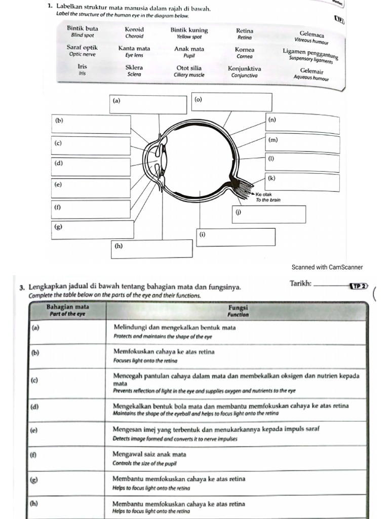 latihan-math-form-5