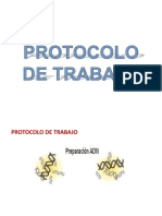 7.3 Protocolo de Trabajo