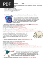 Darwins Natural Selection Worksheet Key | PDF | Bears | Natural Selection