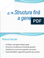 2 - 4 - Structura Genei
