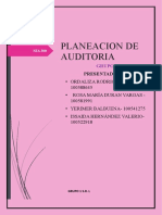 Planeacion de Auditoria Grupal