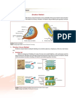 Pendam11 PDF