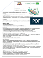 Resumo - Bactérias