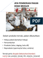 MANAJEMEN PAKAN AYAM BROILER