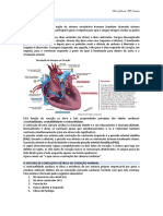 Anatomia Do Coração - Resumo
