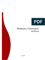 PDF - Js Viewer - Perfuração