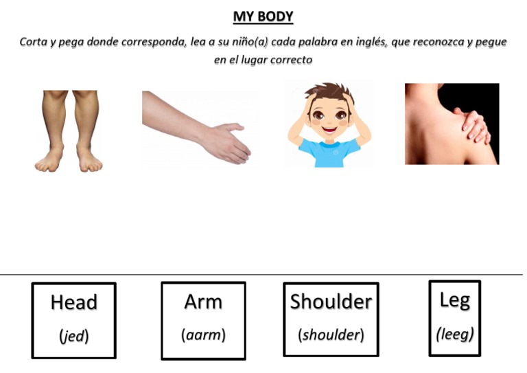 identifying-body-parts-in-english-for-children-pdf