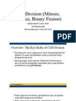 Cell Division (Mitosis, Meiosis, Binary