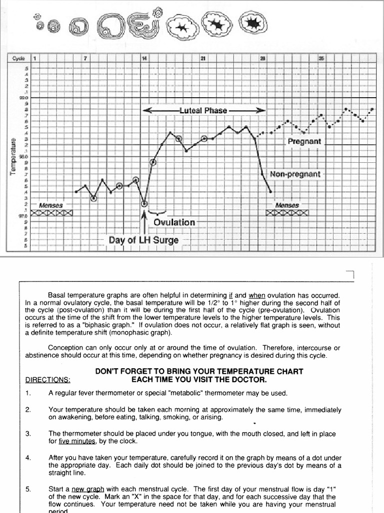 How Long Does Basal Body Temp Stay Elevated When Pregnant