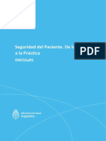 PROGRAMA SEGURIDAD PACIENTE TEORIA A PRACTICA PDF