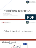 Protozoans-2 0