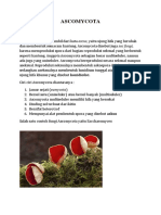Ascomycota PDF